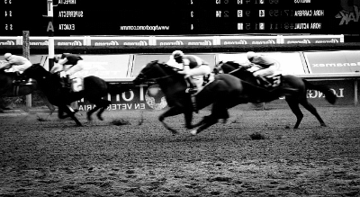 Can You Bet At Meydan Can You Bet At Meydan