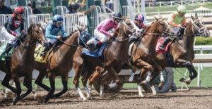 jebel ali racecourse